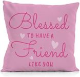 NATSUNO My Friend Pillow Case,Friends Throw Pillow Covers 18X18,Friendship Gifts for Woman,Thank You Gifts for Friends,Birthday Gifts for Friends,Blessed to Have A Friend Like You Pillow Cover(Pink)