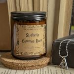 THE UMBRELLA STORE Harry Potter Scented Candle, Harry Potter Merchandise, Soy Wax Candle | Eco Friendly | Luxury Scented | Home Decor Candle (Slytherin Commonroom)