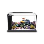 Fluval 10528A1 Evo V Marine Aquarium Kit, 5 gal