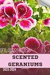Scented Geraniums: Become flowers e