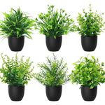 Artificial Plants For Living Room