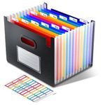 ThinkTex File Organiser, 12 Pockets Expanding File Folders, Upright and Open Top, Portable Monthly Bill Receipt Organiser, Colorful Tabs, Letter/A4 Size