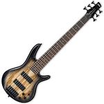 Ibanez GSR206SM-NGT GIO SR Series Electric Bass Guitar - 6 String - Natural Grey Burst