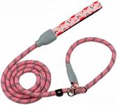DDSColour Slip Lead Dog Leash - Ant