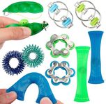 Sensory Fidget Toy 10 Set Flippy Ro