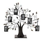 Fabian Clarke London Family Tree Frame 50 x 50cm With 6 Hanging Photo Frames Free Standing For Home Family Birthday Gift