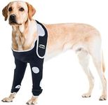 Front Right Left Legs Large Dog Sur