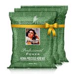 Shahnaz Husain Professional Power Henna Mehndi 100gm (Pack of 3)