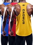 Cadmus Men's 3 Pack Running Muscle Tank Top Dry-Fit Gym Sleeveless Y-Back Shirts Training Fitness Vest,Blue,Red,Yellow,M