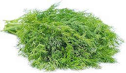 AllThatGrows Dill Culinary Herb Soya Seeds - Pack of 500 Seeds