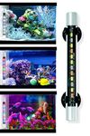 Buraq Pets Mini Multi-Colour Aquarium Light for Making Your Fish Tank Superior, Ideal for Fish Aquarium, Fully Submersible Aquarium Lights (Up to 1.5 Ft Tank Mix Color)