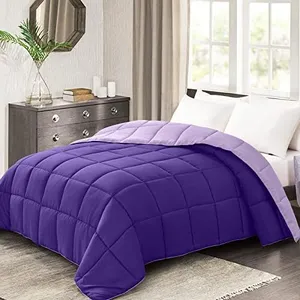 Homelike Moment Oversized Queen Comforter - Purple Duvet Insert Down Alternative Bed Comforter, Lightweight Bedding Comforters Oversize Queen Quilted Soft All Season Reversible Plum/Light Purple