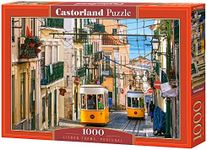 CASTORLAND 1000 Piece Jigsaw Puzzle