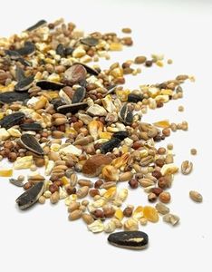For Everybirdy Gourmet Wild Bird Food Blend, Wild Bird Seed Mix with Peanuts 4kg (8.8lbs)