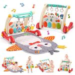 cute stone Baby Gym Play Mat & Baby Learning Walker, Baby Activity Mat with Play Piano, Musical Activity Center with Lights, Baby Push Walkers & Tummy Time Mat for Infant Newborn Toddlers