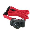 PetSafe Ultralight Receiver Collar for Dogs and Cats Over 3.6 kg, Waterproof with Tone and Static Stimulation