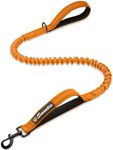 Sweetie Bungee Dog Lead - Shock Abs