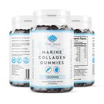 Marine Collagen & Biotin Gummies 2 MONTH SUPPLY - 1200MG Per Serving - 60 High Strength Berry Sugar Free Gummies - Hydrolysed Collagen & Biotin