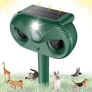 Solar Cat 