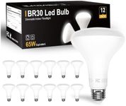 DAYBETTER 12Pack BR30 LED Light Bulbs Indoor Flood Light 65W Equivalent, Daylight White 5000K, Dimmable Recessed Light Bulb for Bedroom Kitchen Living Areas, 800 Lumens E26 Standard Base