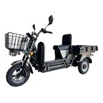 EOX E-Horse Low Speed 3 Wheeler Electric Loader Scooter Non RTO, 600Kg Weight Capacity, Black with Portable Lithium Battery & Charger