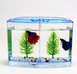 Betta Fish Tanks