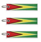 LLBFHH 3 Pcs Guyana Guyanese Country Flag Keychain,Woven label Key Chains for Car Keys,Fabric Key Chains Men and Women,Used for Various Decorations., Guyana