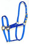 Hamilton 8D AVBL 3/4-Inch Nylon Arabian Horse Halter for 800 to 1100-Pound Horse, Blue