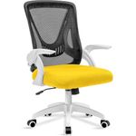 Blisswood Office Desk Chair, Ergonomic Mesh Chair With 90° Flip-up Armrest Swivel Computer Chair With Lumbar Support, Adjustable Height, Back Support 360° Rotation Gaming Chair For Home Office