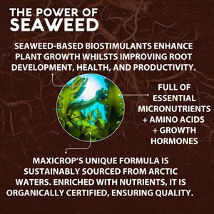 Maxicrop Moss Killer & Lawn Tonic 1L – Fast-Acting Seaweed Lawn Care