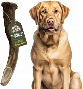 Heartland Deer Antlers for Dogs - Grade A, Naturally Shed Antlers | Dog Bones for Aggressive Chewers & Teething Puppies | Chew Toy for All Breeds | USA Made & Veteran Owned (Large: 6-8", 1-Pack)