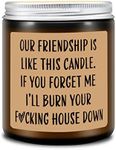 Homsolver Funny Scented Soy Candle 