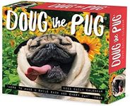 Doug the Pug 2023 Calendar-Usa