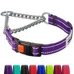 CollarDirect Martingale Dog Collar Dog Choke Collars Stainless Steel Chain Quick Release Buckle - Reflective Collar for Large, Medium, Small Dogs - Purple, Large (Neck Size 17"-22")