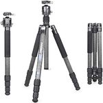 Carbon Fiber Tripod-INNOREL RT85C Super Professional Tripod Monopod Heavy Duty Stand Support Low Gravity Center 360°Panoramic ballhead for Digital DSLR Camera Black