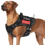 Bulldog Harness For Bulldogs