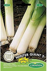 Germisem Winter Giant 2 Semillas de Puerro 4 g