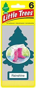 Little Trees Car Air Freshener 6-Pack (Rainshine)