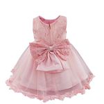 FEESHOW Baby Girl Lace Flower Princess Wedding Party Pageant Birthday Tutu Dress Size 6-9 Months Pink