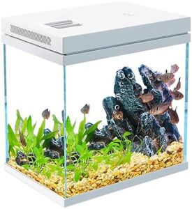 10L Fish Tank Nano Glass Aquarius Set with Light and Filter System, Aquarium, Waterproof and Detergent-Free Design (10L)