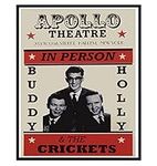 Buddy Holly Music Posters - 8x10 50