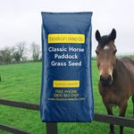 Boston Seeds Grass Seed Paddock Grass Seed Classic Paddock Grass Seed (1 Pack)