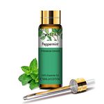 PHATOIL Peppermint Essential Oil 10ML - Undiluted and Cruelty-Free, Pure Peppermint Oil - Essential Oils for Diffusers for Home