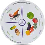 MARS WELLNESS 2 Pack 10" Portion Control Plate MyPlate Proven Method for Balanced Meal Building, Portion Control and Weight Loss Dinner Plates