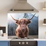 Premium 90 cm x 75 cm Highland Cow Glass 6mm Kitchen Splashback Heat Resistant Toughened Polished Edges - Back Splash Back Coloured Hob Painted Tempered Splashback