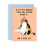 90th Birthday Card Funny - Cat Birthday Card For Age Ninety - For Mom Dad Grandma Grandpa Nanny - Comes With Fun Stickers - Made In The UK By Central 23