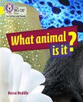 What Animal is It?: Band 03/Yellow (Collins Big Cat Phonics for Letters and Sounds)