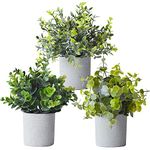 Mr.Bom Mini Potted Artificial Plants Fake Desk Plants Fake Small Eucalyptus Greenery Plastic Faux Plants in Pots Artificial Plants Indoor Decoration to Create a Real Fresh Scene Set of 3