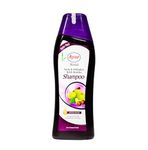 AYUR HERBALS Amla & Shikakai Shampoo with Reetha Conditoner I Dandruff,Hair Fall & Greying I For Long & Strong Hair I Unisex, Pack of 1-50ml