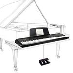 Fesley Stage Digital Piano with Full Weighted Keyboard: Portable Electronic Keyboard with 128K Sound Source, Featuring French Dream Audio Chip, Dual 20W Stereo Speaker, Bluetooth, MIDI Connection